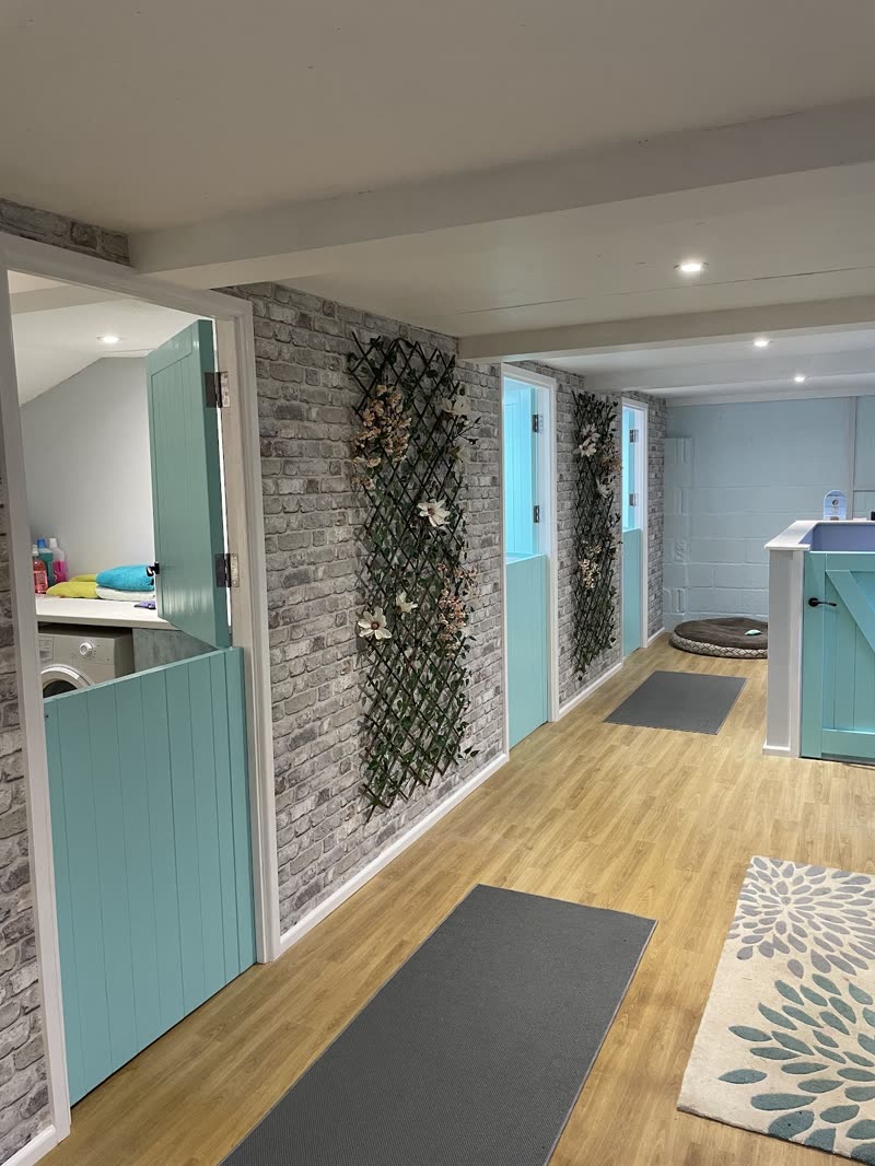 Inside the grooming salon: wooden floor, floral wallpaper, teal cabinetry and the reception counter